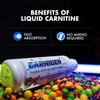 Evogen Carnigen Premium L Carnitine Liquid – L Carnitine 3000 Supplement | L Carnitine Supplement for Fat Metabolism & Recovery | Acetyl L-Carnitine | Caffeine Free | Rainbow Candy | 31 Servings