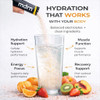 Electrolyte Mix | 1600mg+ Electrolytes w/Pink Himalayan Salt | No Sugar Added (20ct, Tangerine)
