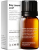 Gya Labs Bay Leaf Essential Oil - 0.34 Fl Oz - for Hair Skin Diffuser Aromatherapy & DIY Candle Making Scent