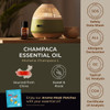 Gya Labs Champaca Essential Oil for Diffuser - 0.34 Fl Oz - 100% Pure Natural Champaca Oil for Skin Hair DIY Aroma Candle Making Scent