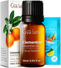 Gya Labs Clementine Essential Oil - 0.34 Fl Oz - for Hair Skin Diffuser Aromatherapy & DIY Candle Making Scent