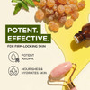 Gya Labs Frankincense Essential Oil - 0.34 Fl Oz