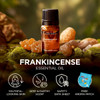 Gya Labs Frankincense Essential Oil - 0.34 Fl Oz