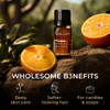 Gya Labs Mandarin Essential Oil - 0.34 Fl Oz