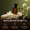 Gya Labs Neroli Essential Oil - 0.34 Fl Oz