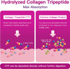 ZEBORA Multi Collagen Peptides Powder - Hydrolyzed Collagen Type I II III V X with Hyaluronic Acid, Biotin, Vitamin C - Support Skin Hair Nail Joints, Non-GMO, Unflavored, Keto Friendly