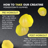 BEAST BITES Nutrition Creatine Monohydrate Gummies 5000mg (135 Count)-Lemon Flavor.