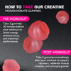 BEAST BITES Nutrition Creatine Monohydrate Gummies for Men & Women - 5g of Creatine Monohydrate per Serving - Sugar Free,Vegan, Strawberry Flavor, 135 Count (45 Servings)