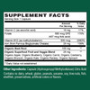 PlantFusion Vegan Iron Supplement for Women & Men - Gentle Plant-Based Iron with Vitamin C Methyl B12 Folate - Non-Constipating Wholefood Iron Pills for Energy Anemia & Blood Support 60 Capsules