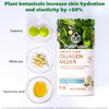 PlantFusion Vegan Collagen Powder - Plant Based Collagen Protein Powder for Muscle & Joints Hair Skin & Nails - Keto Gluten Free Soy Free Non-Dairy No Sugar Non-GMO - Vanilla 11.43 oz