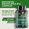 PlantFusion Organic Vitamin B-Complex Vegan Whole Food Supplement for Energy & Metabolism Methylated B12 Guava Lemon & Basil Non-GMO Gluten-Free - 30 Capsules