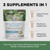PlantFusion Mushroom Protein Powder - 3 in 1 Vegan Protein Powder Mushroom Supplement and Adaptogen Supplement - Support Mental Focus Immunity and Recovery - Vanilla 1lb