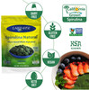 Earthrise Spirulina Pure Californian Spirulina 500 mg Vegan Gluten Free Keto Friendly Non -GMO Super Food high in Vitamins & Minerals. 1 LB Tablets (150 Serving)