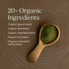 New Chapter All-Flora Digestive Super Greens Powder for Gut Health - Clinical-Strength Digestive Enzymes + USDA Organic Chlorella Spirulina Fermented Greens – Delicious & 100% Vegan 30 Servings