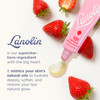Lanolin 101 Multipurpose Ointment - Lanolin Lip Balm & Healing Ointment for Skin Barrier Repair - Moisturizer for Dry Lips  Cuticles & Elbows - No Petroleum Formula - Strawberry (0.35 oz)