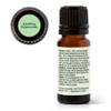 Plant Therapy Home Sparkling Peppermint Laundry Essential Oil Blend 10 mL (1/3 oz) 100% Pure & Undiluted Fresh Minty Scent for Washer & Dryer Natural Laundry Scent Booster