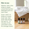 Plant Therapy Home Sparkling Laundry Essential Oil Blends Set of 3 Peppermint Grapefruit & Lavender Pure Undiluted Wash Fragrance and Scent Enhancer