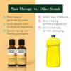 Plant Therapy Home Citrus Burst Blend All Natural Multi-Surface Cleaner Concentrate Use to Clean Countertops Stovetops Tile Microwave 30 mL (2-Pack)