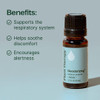 Plant Therapy Deodorizing Essential Oil Blend 10 mL (1/3 oz) Pure Essential Oils Undiluted Therapeutic Grade Ideal for Household Cleaning & Deodorizing