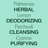 Plant Therapy Deodorizing Essential Oil Blend 30 mL (1 oz) 100% Pure Undiluted Therapeutic Grade