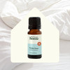 Plant Therapy Home White Linen Natural Fragrance 10 mL (1/3 oz) Fill Your Home with a Fresh Laundry Scent Made of Essential Oils and Botanical Isolates Long-Lasting Aroma