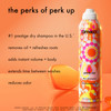 amika perk up talc-free dry shampoo | refreshes roots with a voluminous oomph between washes no white residue absorbs oil + reduces odor for all hair types