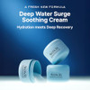 Arencia Deep Water Surge Soothing Cream 2.70 Fl Oz With Hyaluronic Acid Cica Pdrn And Ceramide