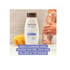 Aveeno Active Naturals Body Wash Stress Relief 12 Oz (Pack Of 4)