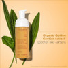 Clarins Gentle Renewing Cleansing Mousse | Cleanses Gently Exfoliates & Refreshes | Foaming Mousse |Soap-No|Sls-No | Dermatologist Tested | Exfoliating Tamarind Pulp Extract Rich In Ahas 5.5 Oz