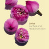 Clarins Lotus Face Oil Treatment | Hydrates Tones And Balances Skin | Visibly Tightens Pores | Minimizes Fine Lines |Skin Is Immediately Velvety*|100% Natural Plant Extracts |Oily To Combination Skin