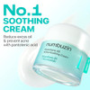 Numbuzin No.1 Pantothenic B5 Active Soothing Cream | Remove Sebum And Skin Troubles Pantothenic Acid Korean Skincare For Women 2.70 Fl Oz