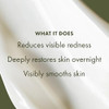 Origins Mega-Mushroom Overnight Recovery Skin Barrier Cream | For Deep Overnight Hydration & Reduced Visible Redness | With Reishi Mushroom Fermented Chaga Mushroom & Evening Primrose 1.7 Fl Oz