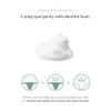 Petitfee Clarifying Aha Gel Cleanser 3.38 Fl. Oz. (100Ml) - Vegan Facial Cleansing Foam With Triple-Aha Bha Lha Mild Exfoliating Cleanser Tea Tree Leaf Centella Asiatica Madecassoside Calming Soothing