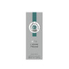Roger & Gallet | L'Homme Menthe Body Spray For Men | Men'S Fragrances | Eau De Toilette 6.6 Oz Tube