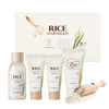 Skinfood Rice Starter Kit Rice Toner Rice Serum Rice Moisturizer And Rice Face Wash For Skin Korean Skin Care Set Travel Size Kit Stocking Stuffers Set For Women Skincare Set