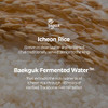 Skinfood Rice Daily Sheet Mask Hydrating And Nourishing Face Mask With Rich Rice Essence Vegan Korean Skincare For Smooth Clear Radiant Skin (10 Ea)