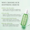 Aloderma Signature Aloe Soothing Set 5-Piece Set
