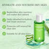 Aloderma Essential Aloe Hydrating Set 4-Piece Set