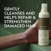Aveda Damage Remedy Restructuring Shampoo For Damaged Hair Repairs And Strengthens Damaged Hair With Quinoa Protein 92% Naturally Derived 8.5 Fl Oz