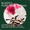 Aveda Brilliant Anti-Humectant Pomade Helps Prevent Frizz & Flyaways Protects Against Humidity For Curly & Coily Hair Types Castor Oil And Rice Bran Jasmine Rose Clove Aroma 2.5 Ounce