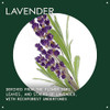 Aveda Lavender Essential Oil + Base Calming Aroma For Body & Bath 1 Fl Oz