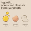 Aveeno Calm + Restore Foaming Cleanser For Sensitive Skin Daily Face Wash Gently Removes Makeup & Cleanses Skin With Soothing Oat Feverfew & Hyaluronic Acid Fragrance- 7.8 Fl. Oz