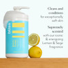 Bliss Lemon And Sage Body Wash + Eucalyptus Oil Shower Steamers Relaxing Aromatherapy Shower Essentials