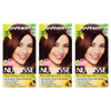 Garnier Nutrisse Nourishing Color Creme Deep Chestnut Brown [434] 1 Ea