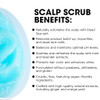 Cnmofaxin Dead Sea Salt Scalp Scrub Clarifying Scrub With Herbal Essences Scalp Exfoliator For Oily Scalp Dandruff & Build-Up Remover Itchy Scalp Relief Hair Treatment Nourishing Detox Hair Care