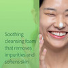 Dermalogy By Neogenlab A-Clear Soothing Foam Cleanser 3.38 Oz (100Ml) - Clogged Pores & Sebum Cleansing Foam For Acne-Prone Skin With Salicylic Acid Tea Tree Centella Asiatica - Korean Skin Care