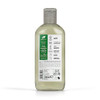 Dr. Organic Organic Doctor Aloe Vera Shampoo 9 Fluid Ounce