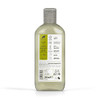 Dr. Organic Organic Doctor Tea Tree Shampoo 9 Fluid Ounce
