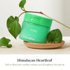 Efilow Himalayan Heartleaf Madecassoside Soothing Toner Pads 100 Pads (6.08 Fl Oz) Ultra-Thin Calming Pads For Blemish Care & Skin Barrier Support