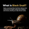 Farmstay Black Snail & Peptide 9 Cream Mask Korean Snail Mucin Mask Pack For Elastic & Glow Skin Hydrating & Anti-Aging Face Mask Pack Korean Skincare For Women & Men 10 Sheets (0.77 Fl. Oz Each)